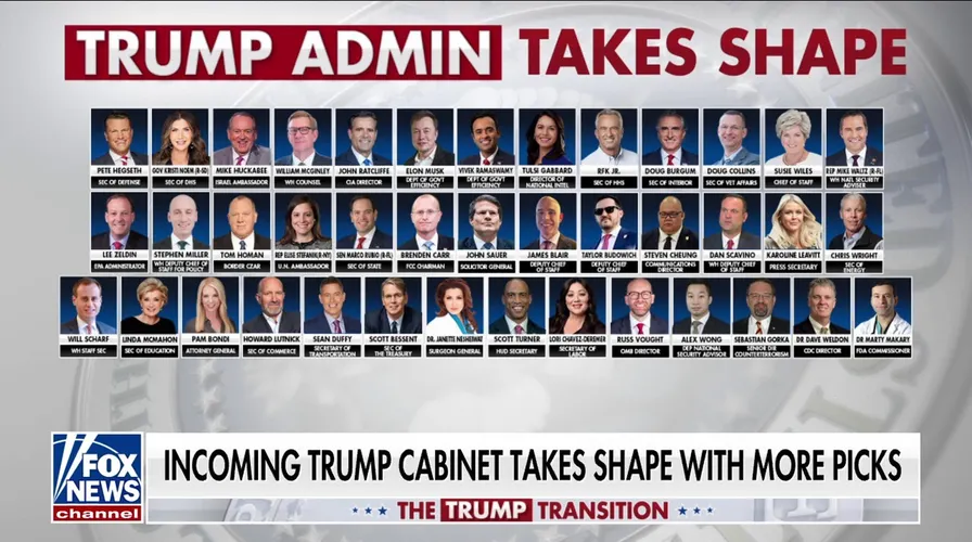 Trump Cabinet Picks Trumps Cabinet Picks